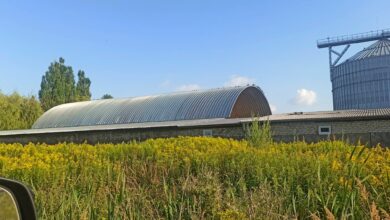 Photo of Строительство бескаркасного дома